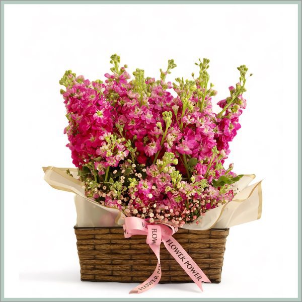 Blooming Basket